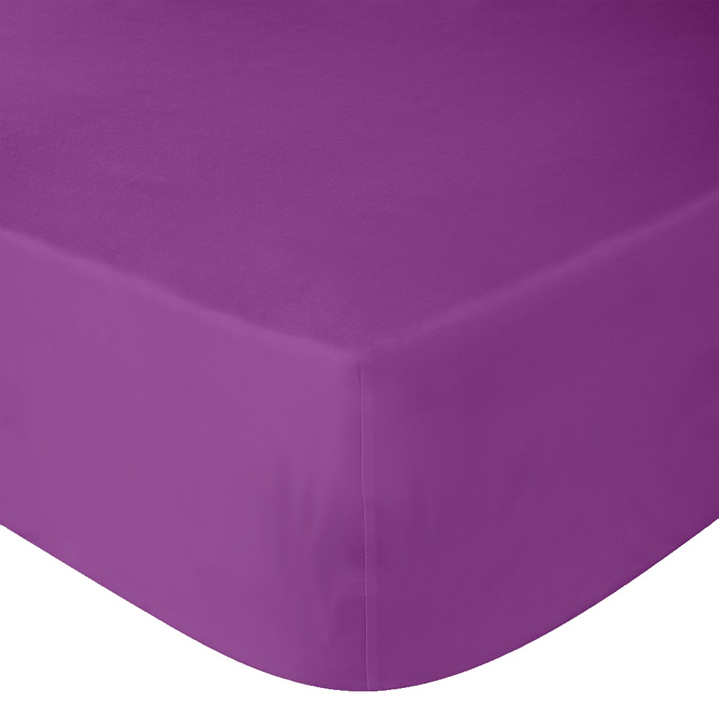 Cearceaf de pat Renforce Iris Orchid Cearceaf de pat Renforce Iris Orchid