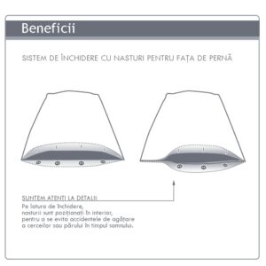 Set 2 fete de perna Crepe Crab